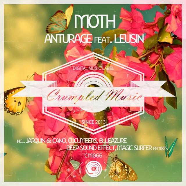 Moth - Deep Sound Effect Remix