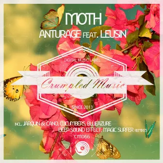 Moth by 