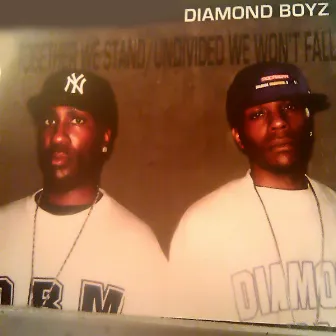 Together We Stand/Undivided We Won't Fall by Diamond Boyz