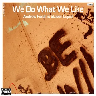 We Do What We Like by Andrew Fields