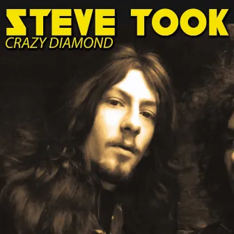 Crazy Diamond by Steve Peregrin Took