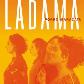 Porro Maracatu by LADAMA