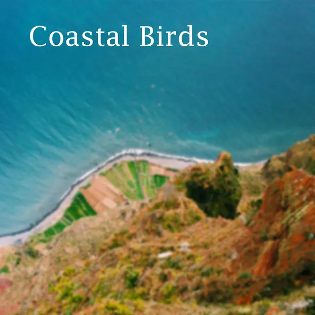 Coastal Birds