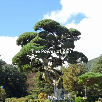 The Power of Zen by Meditation Songs