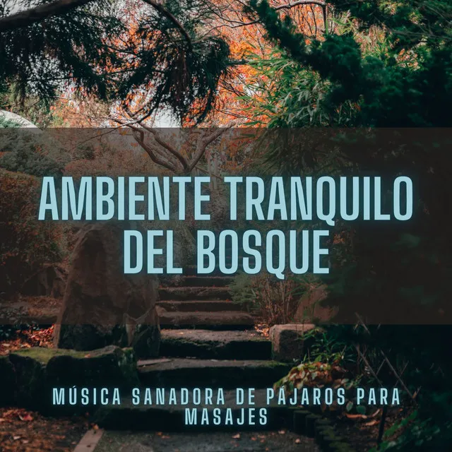 Ambiente Tranquilo Del Bosque: Música Sanadora De Pájaros Para Masajes