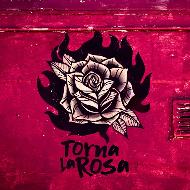 Torna la Rosa