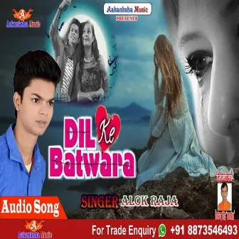 Dil Ke Batwara by Alok Raja