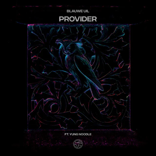 Provider