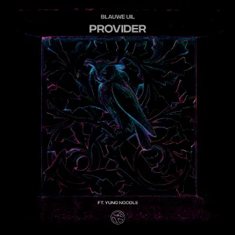 Provider by Blauwe Uil