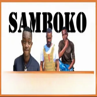 Samboko by MASTER CHEMICAL