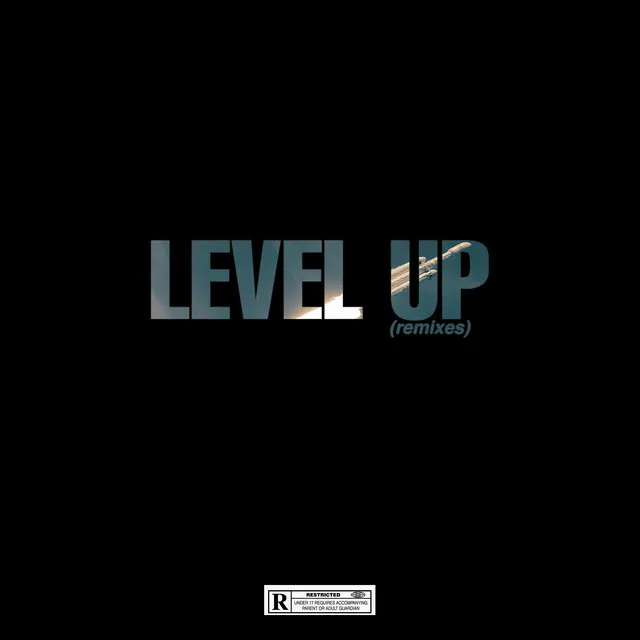 Level up (Remixes)