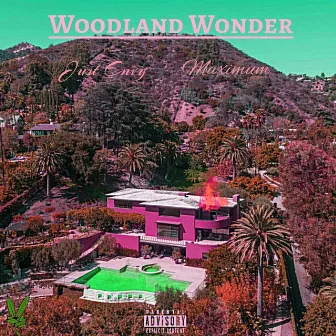 Woodland Wonder by Maximum