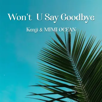 Won't U Say Goodbye by MIMI OCEAN