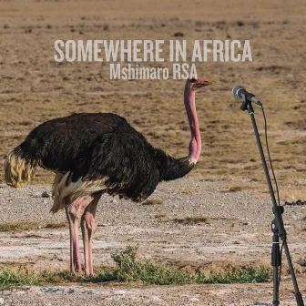 Somewhere in Africa by Mshimaro Rsa