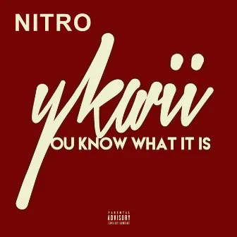 You Know What It Is by Nitro