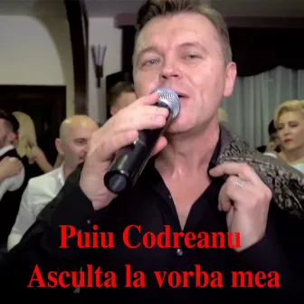 Asculta La Vorba Mea by Puiu Codreanu