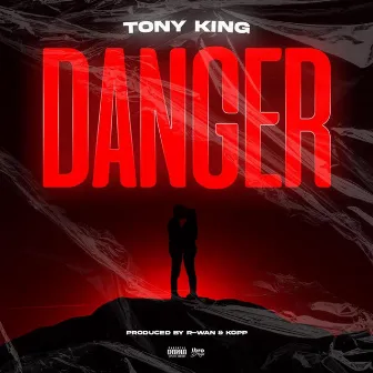 Danger by Tony King