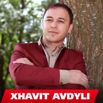 U ndam ne erresire by Xhavit Avdyli