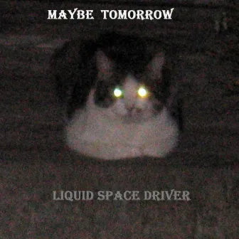 Liquid Space Driver by Maybe Tomorrow