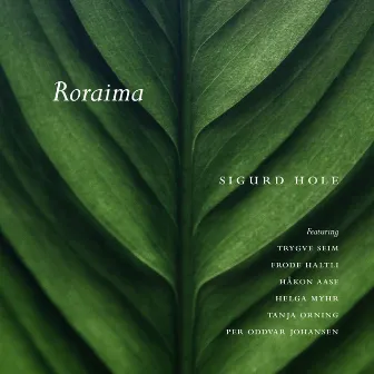 Roraima by Sigurd Hole