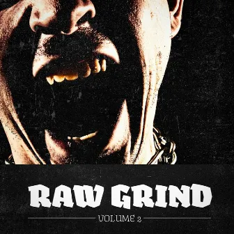 Raw Grind, Vol. 2 (A Selection of Punk, Hardcore & Metal Music) by Heavy Metal Guitar Heroes