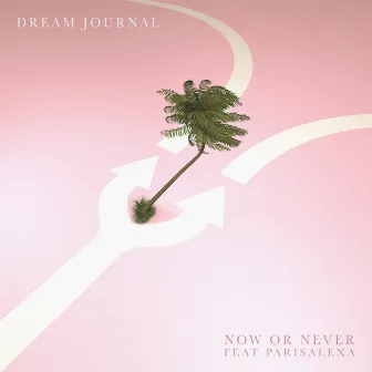 Now Or Never (feat. ParisAlexa) by Dream Journal