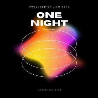 One Night by Liam Seys