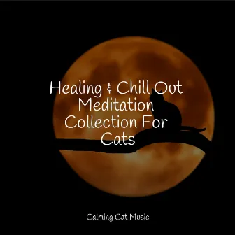 Healing & Chill Out Meditation Collection For Cats by Jazz Music Therapy for Cats