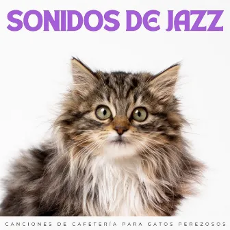 Sonidos De Jazz: Canciones De Cafetería Para Gatos Perezosos by 