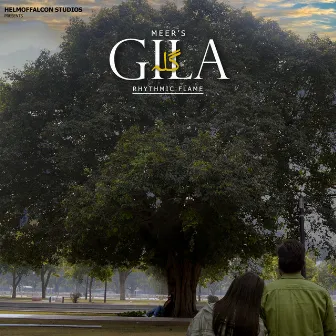 Gila by Meer