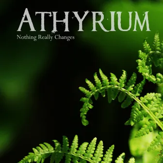 Nothing Really Changes by Athyrium