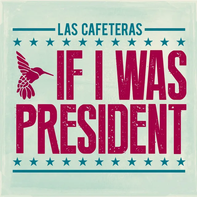 If I Was President