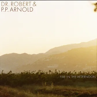 Five in the Afternoon by Dr Robert