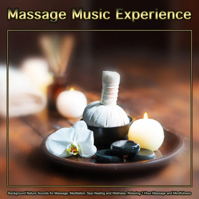 1 Hour Massage Playlist