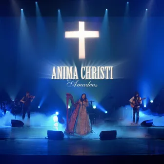 Anima Christi (Live) by Trio Amadeus