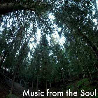 Music from the Soul by Hada Guldris