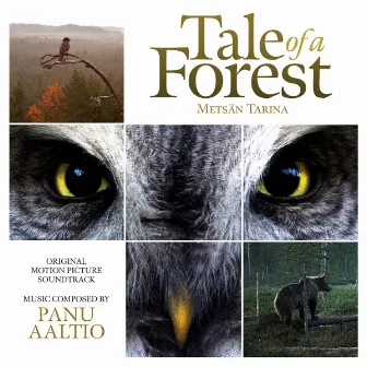 Tale of a Forest (Original Motion Picture Soundtrack) by Panu Aaltio