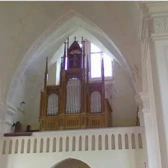 Pipe Organ Music 8: Pieces of G. B. Nevin, L. J. A. Lefebure-Wely, L. Vierne, R. Driffill, V. Petrali played on the historical pipe organs of Lithuania by Justinas Šapola