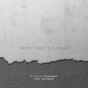 Into the Silence by Nicholas DiEugenio