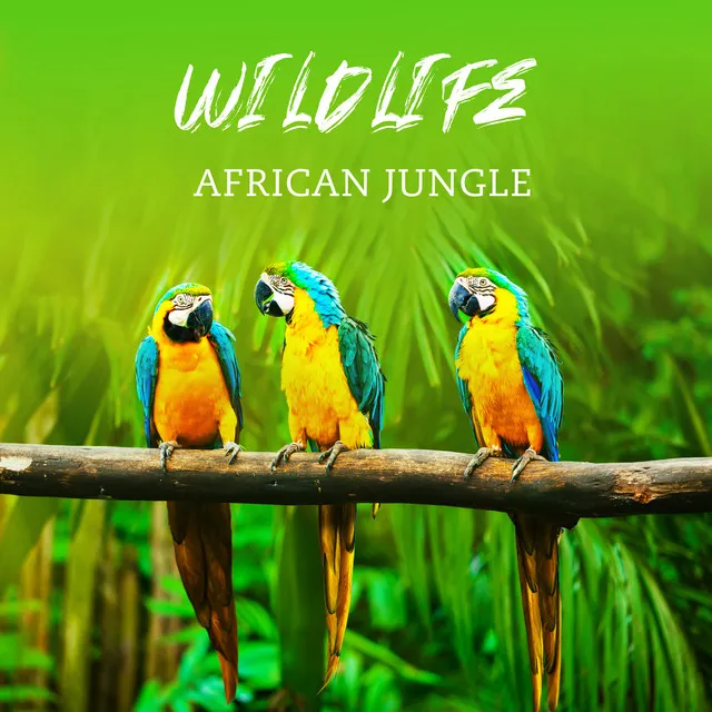 Wildlife: African Jungle, Safari Adventure, Amazon Forest, Flute Meditation