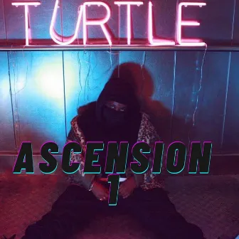 Ascension 1 by Turtle White