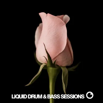 Liquid Drum & Bass Sessions Vol 12 by Dreazz