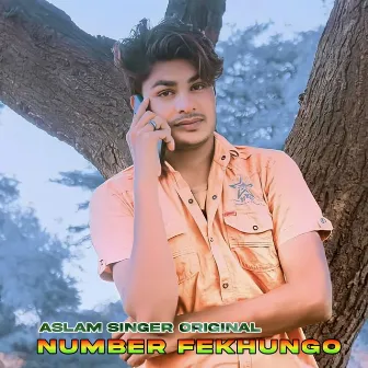 Number Fekhungo by Aslam Singer Original