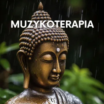 Muzykoterapia: Dźwięki Leczenia (Krople Natury) Transformacja i Spokój by Strefa Medytacji Uzdrawiającej