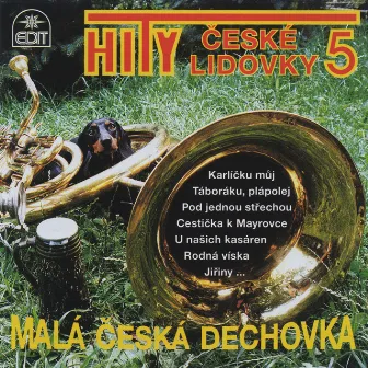 Hity české lidovky 5 by Malá česká dechovka