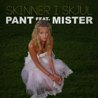 Skinner i skjul by Pant