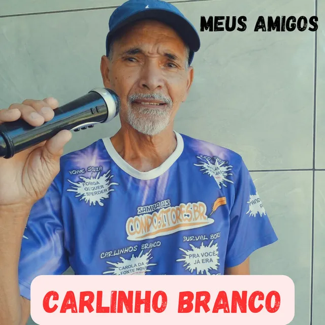 Meus Amigos