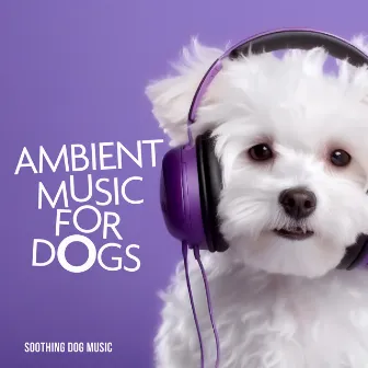 Ambient Music for Dogs by Soothing Dog Music