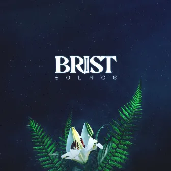 Solace by Brist