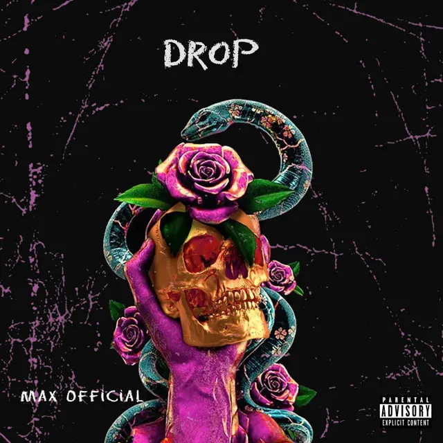 Dropnout